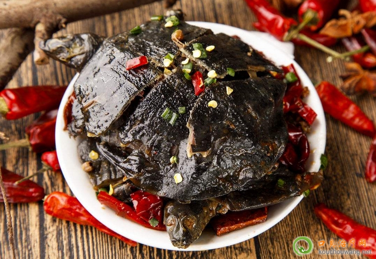 �ڳ����ԳԼ��~