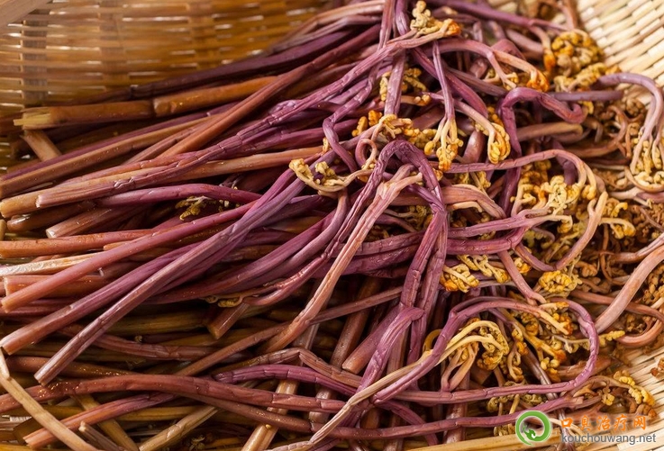 �ڳ����Գ�ާ��