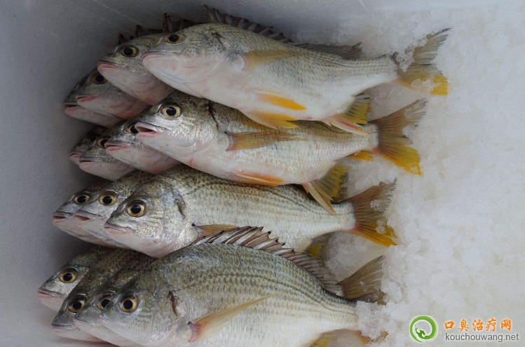 �ڳ����Գ��S�_��