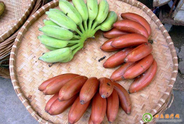 �ڳ����ԳԼt�㽶