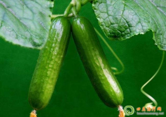 �ڳ����ԳԺ��m��